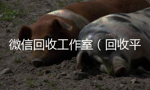 微信回收工回收微信在线交易作室（回收平台）